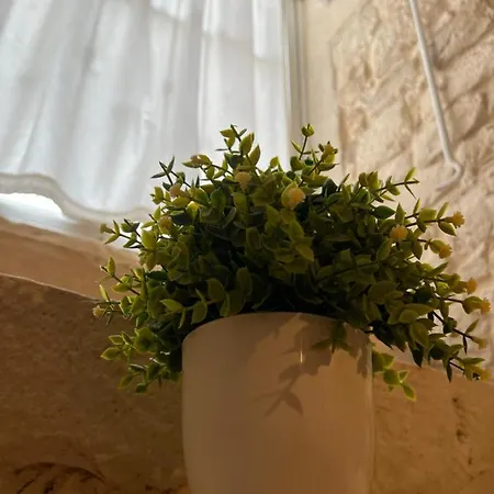 Dimora Martina Bed & Breakfast