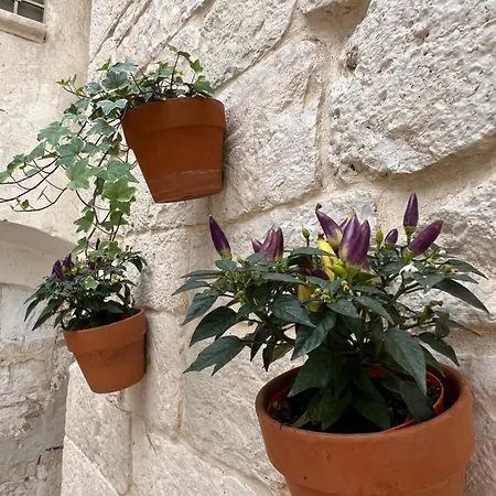 Bed & Breakfast Dimora Martina