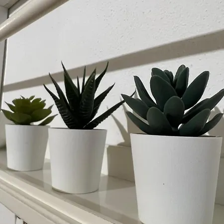 Dimora Martina Loseto