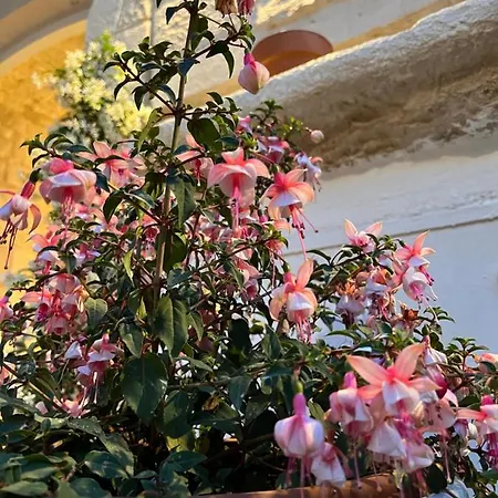 Dimora Martina 4* Loseto