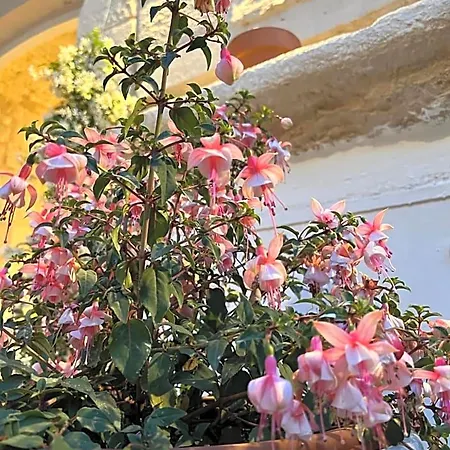 Bed & Breakfast Dimora Martina