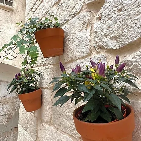 Dimora Martina Bed & Breakfast Loseto