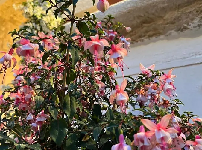 Dimora Martina 4* Loseto